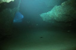 20010618_Shaab_Sharm_0008